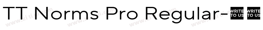 TT Norms Pro Regular字体转换
